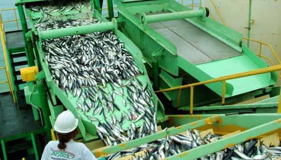 El principal mercado de la harina de pescado de Austral Group es China que representa el 44% de sus exportaciones, Alemania el 25%, Japón 19% y Chile 2%.