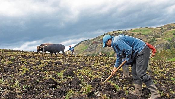 La falta de fertilizantes generaría escasez. (Foto: Andina)