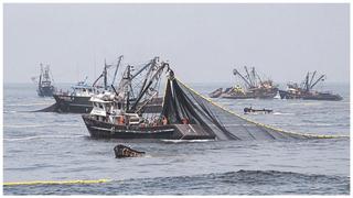 Produce: Aumenta la asignación de la cuota de pesca de jurel a más de 20,000 toneladas