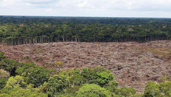 La destrucción potencial sería aún mayor si se aplica la misma metodología en toda la Amazonia, según Juliana Siqueira-Gay, ingeniera ambiental y autora principal del estudio. (Foto: EFE)