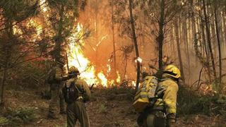 Tres muertos y más de veinte de heridos va dejando incendios en Portugal